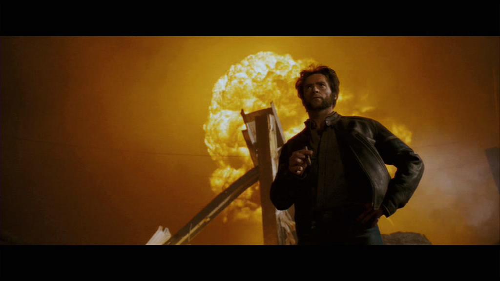 Wolverine 2.JPG